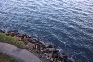 2025-07-21 Cpt. Cook Brdg. Walk - IMG_3854_compressed_q80.webp